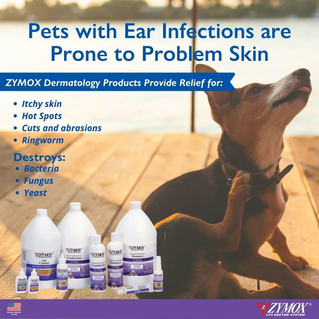 Zymox Advanced Enzymatic Conditioner for Dry or Itchy Skin.