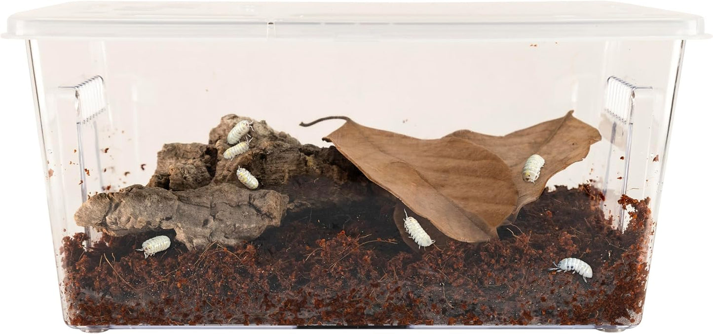 Zoo Med Creatures Roly Poly Isopod Habitat Kit Zoo-Med