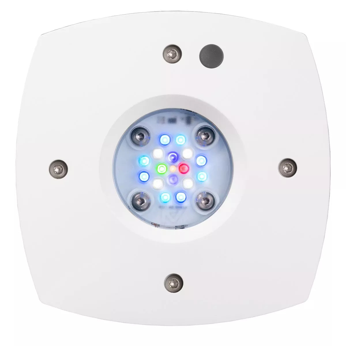 AquaIllumination Prime 16 HD LED Reef Light - White Body