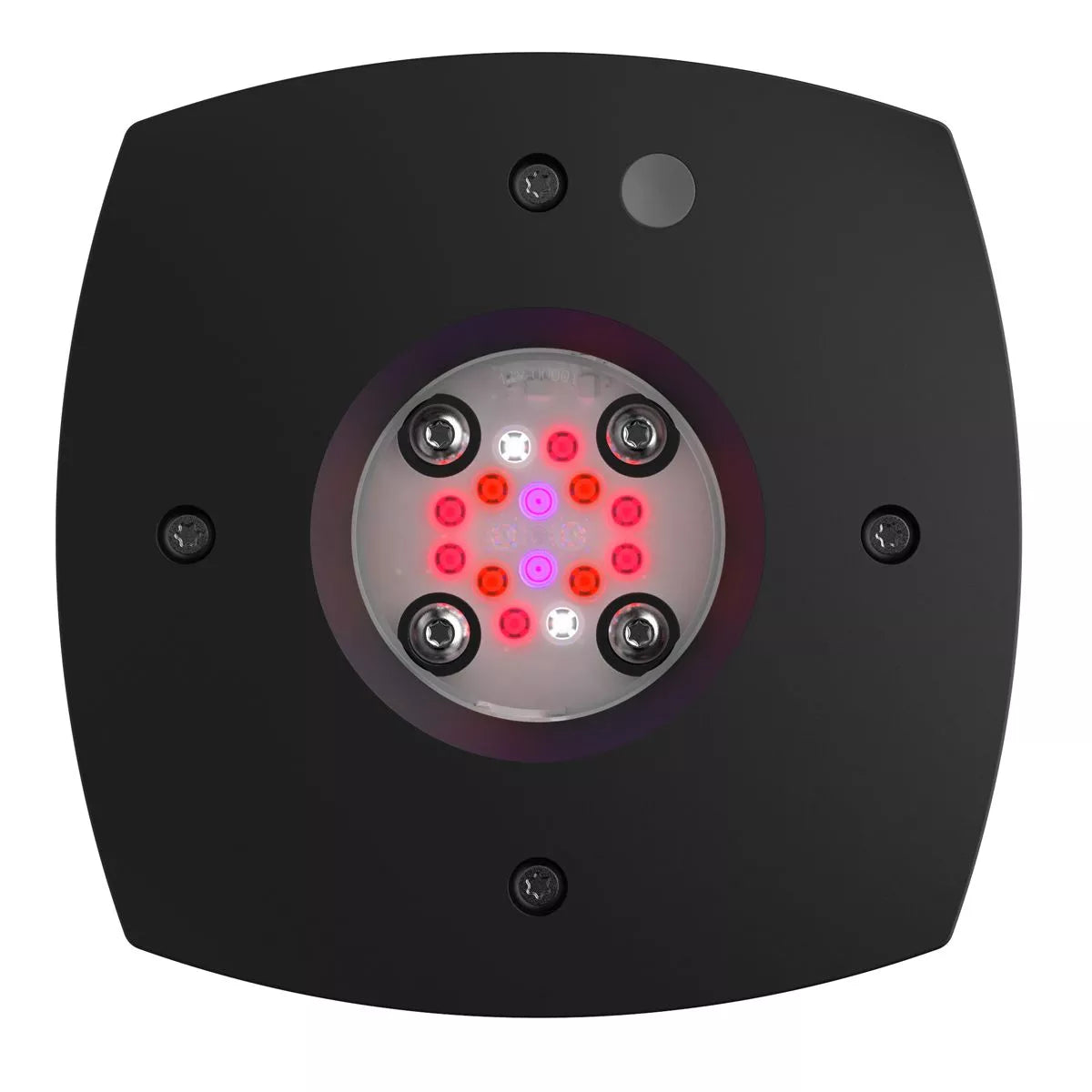 AquaIllumination Prime 16 LED Fuge Light - Black Body