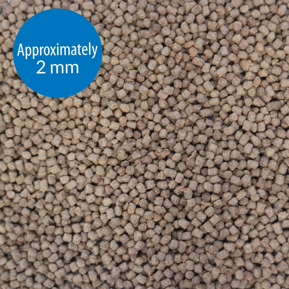 API Betta Pellets Fish Food API