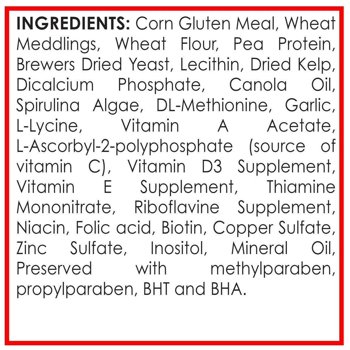 API Vacation Pyramid Fish Feeder API