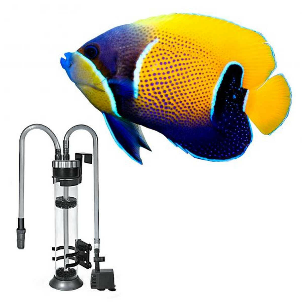 AQUATOP MR-20 95 GPH Media Reactor Aquatop