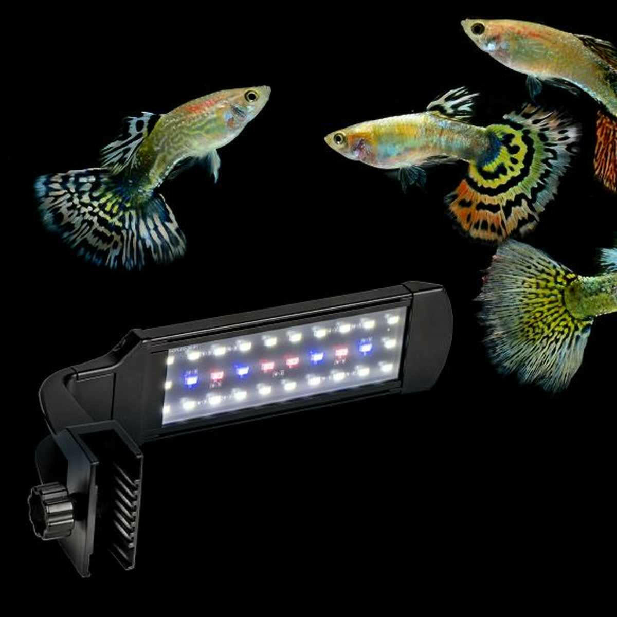 AQUATOP SkyAqua 10" Mini Clamp-On Aquarium LED Light (W/RGB) with Multi-Mode Power Switch (SAQ-MINI).