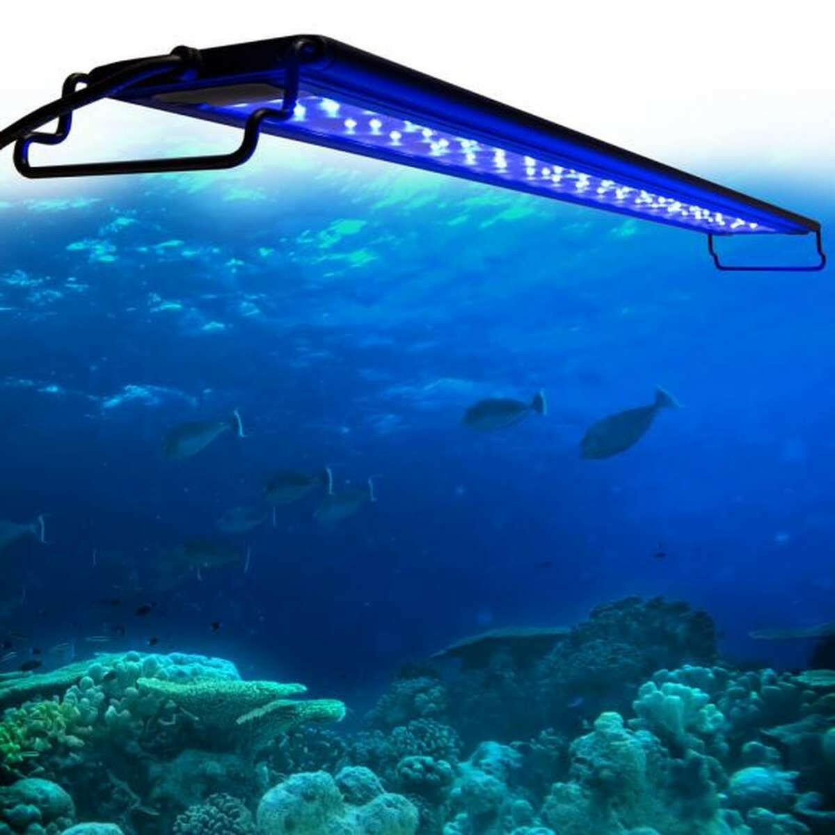 AQUATOP SkyAqua Actinic Blue LED Light for 18"-24" Aquariums (SAQB-1824).