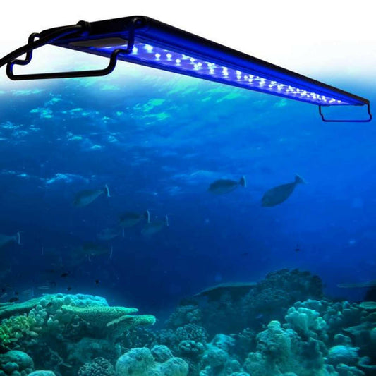 AQUATOP SkyAqua Actinic Blue LED Light for 18"-24" Aquariums (SAQB-1824).