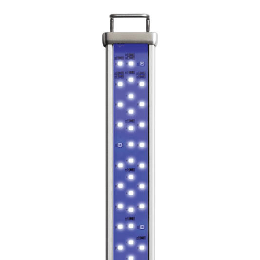 ASF Proten LED Marine 36"-48" ASF