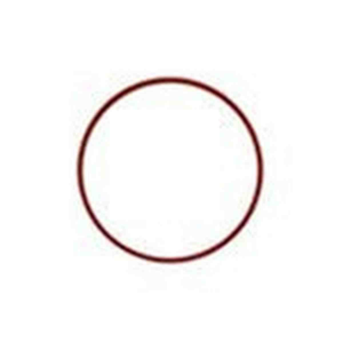 ASM Replacement Collection Cup O-Ring – Fits G-2 Through G-3 Protein Skimmers ASM
