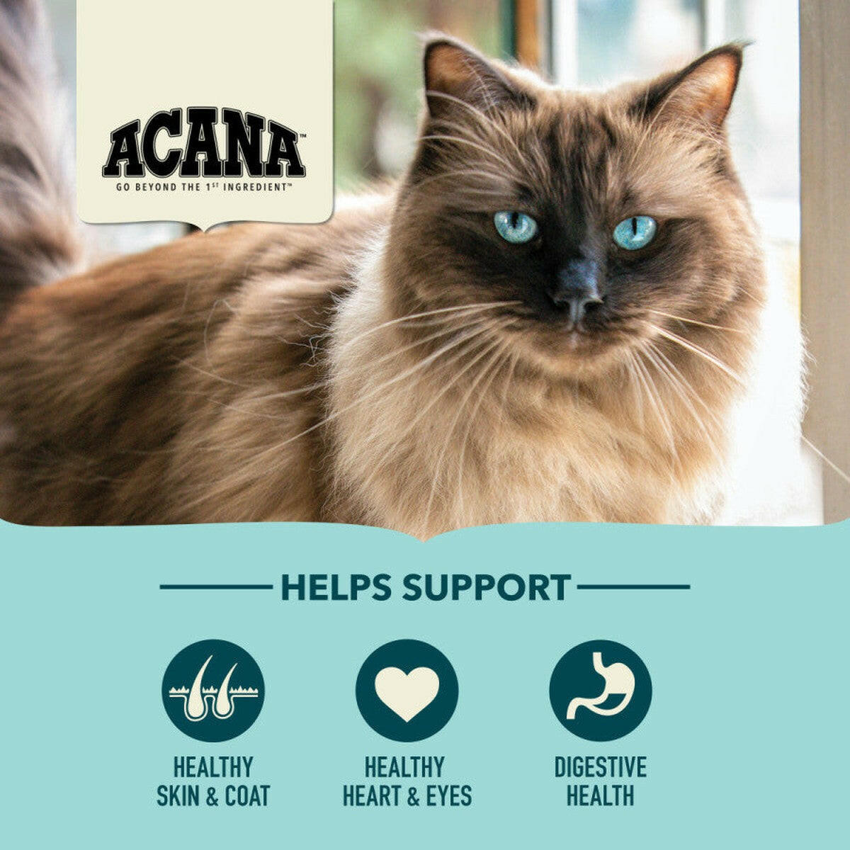 Acana Bountiful Catch Dry Cat Food.