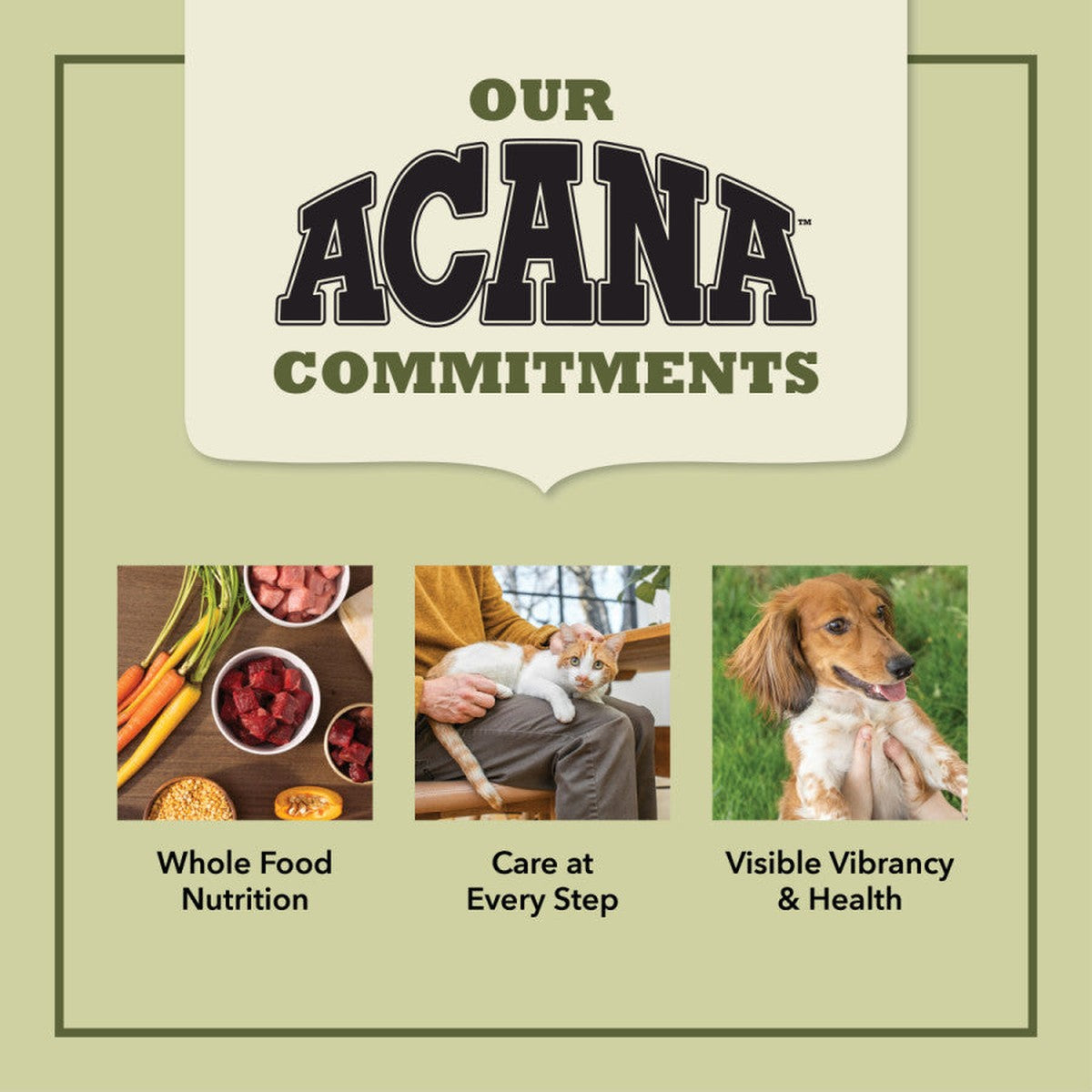 Acana Butcher’s Favorites Dry Dog Food ACANA