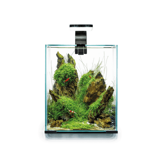 AquaEl Shrimp Set 30L 8 Gallons - Black AquaEl