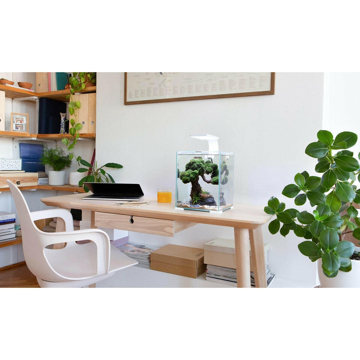 AquaEl Shrimp Set 30L 8 Gallons - Black AquaEl