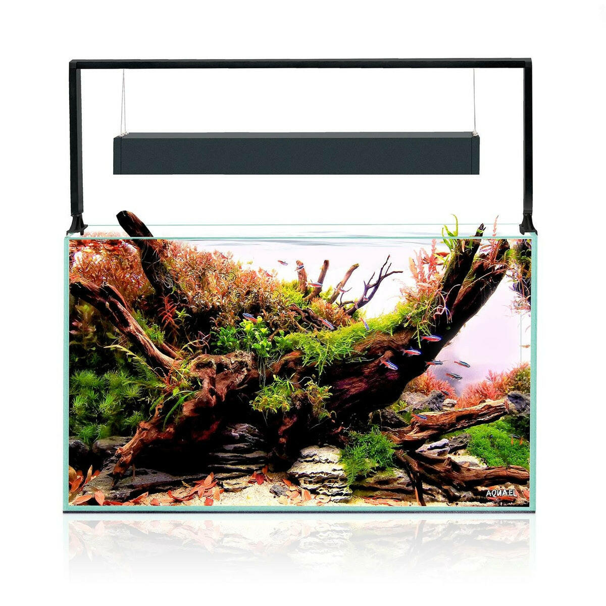 AquaEl UltraScape Set 60 Forest with Leddy Slim and Cabinet AquaEl