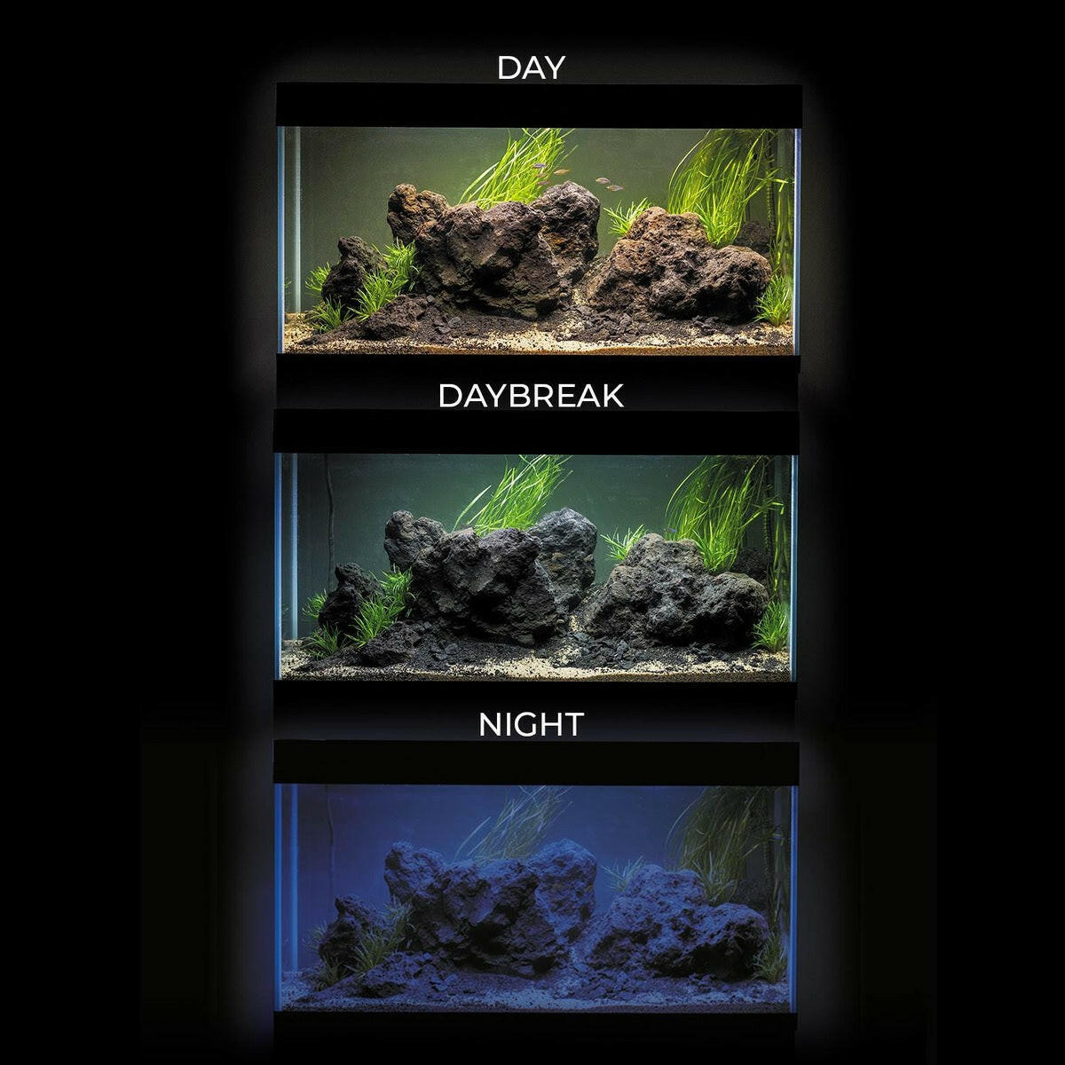 AquaEl UltraScape Set 60 Forest with Leddy Slim and Cabinet AquaEl