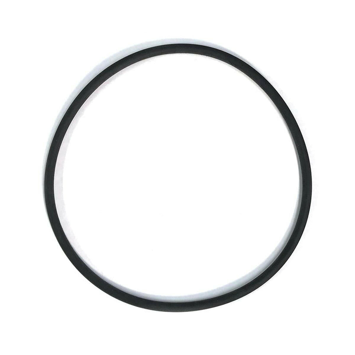 AquaUltraviolet PART - Ultima Filter Union O-Ring, 1.5" Aqua Ultraviolet