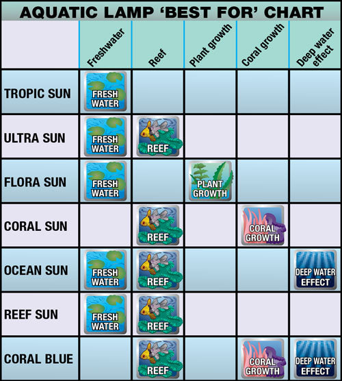 Zoo Med T8 Ocean Sun® 10,000K Zoo-Med