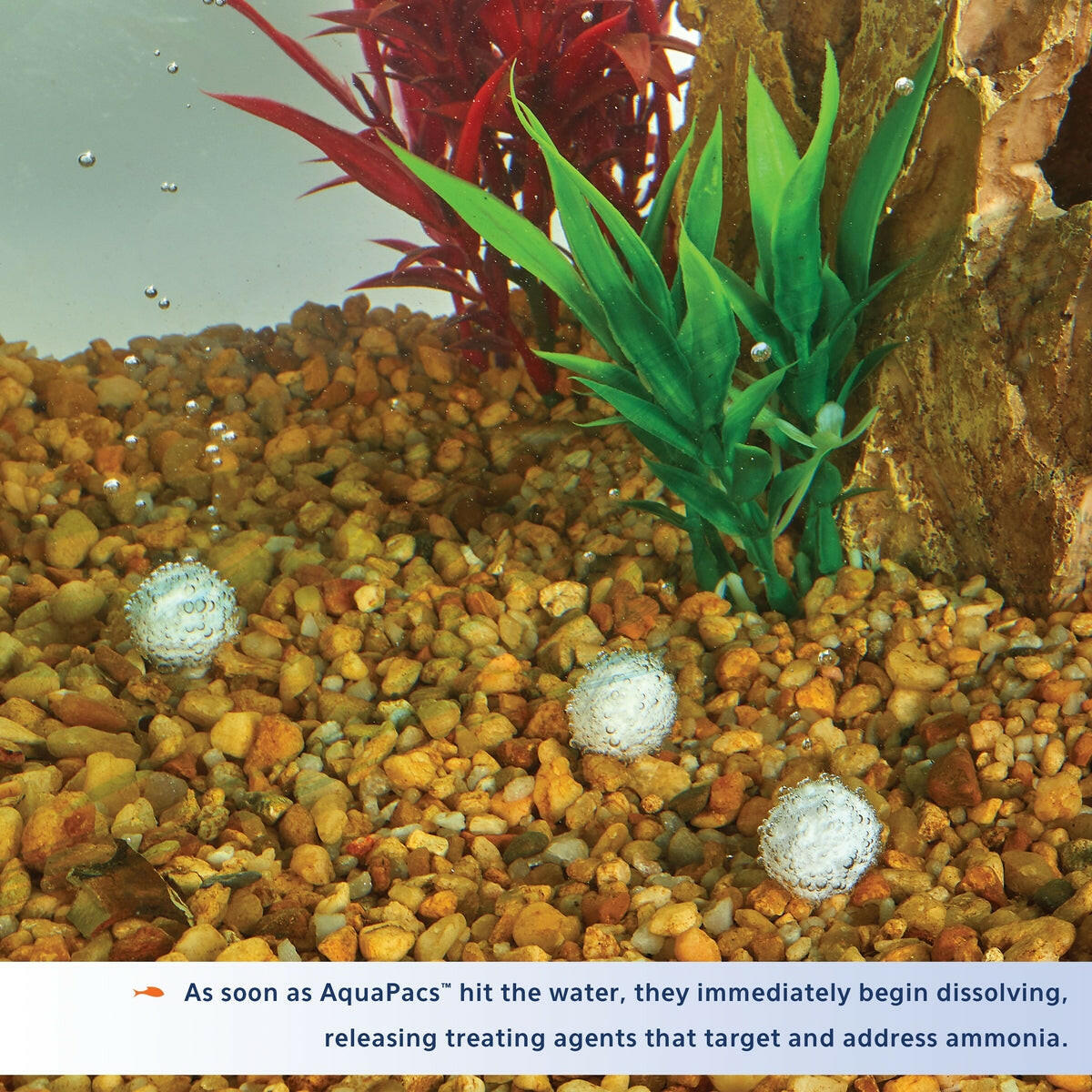Aqueon AquaPacs Ammonia Reducer.