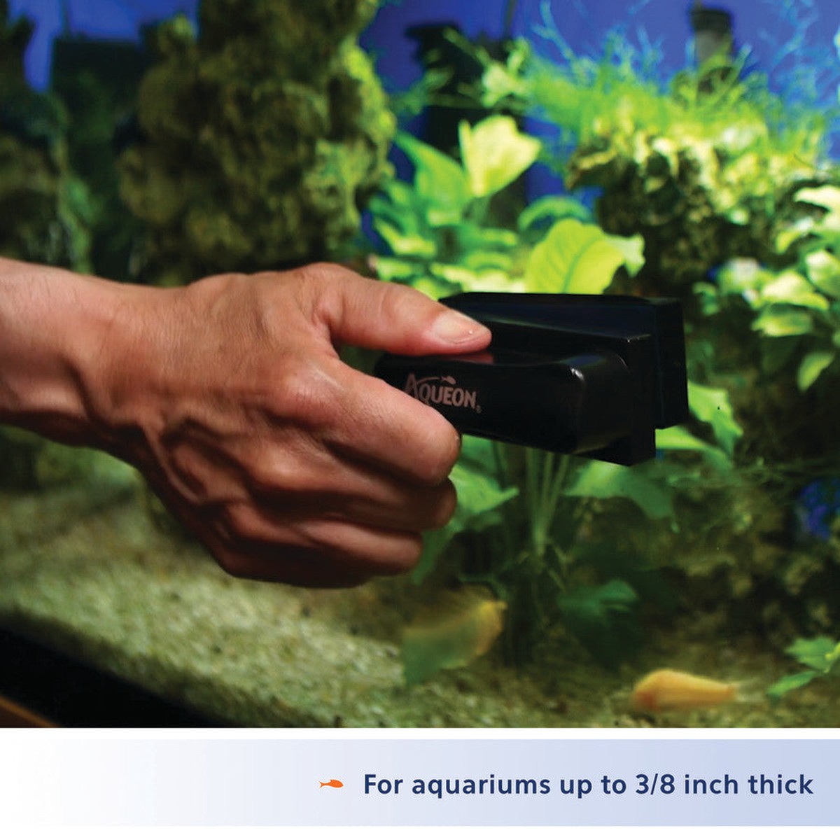 Aqueon Aquarium Algae Cleaning Magnets Glass Aqueon