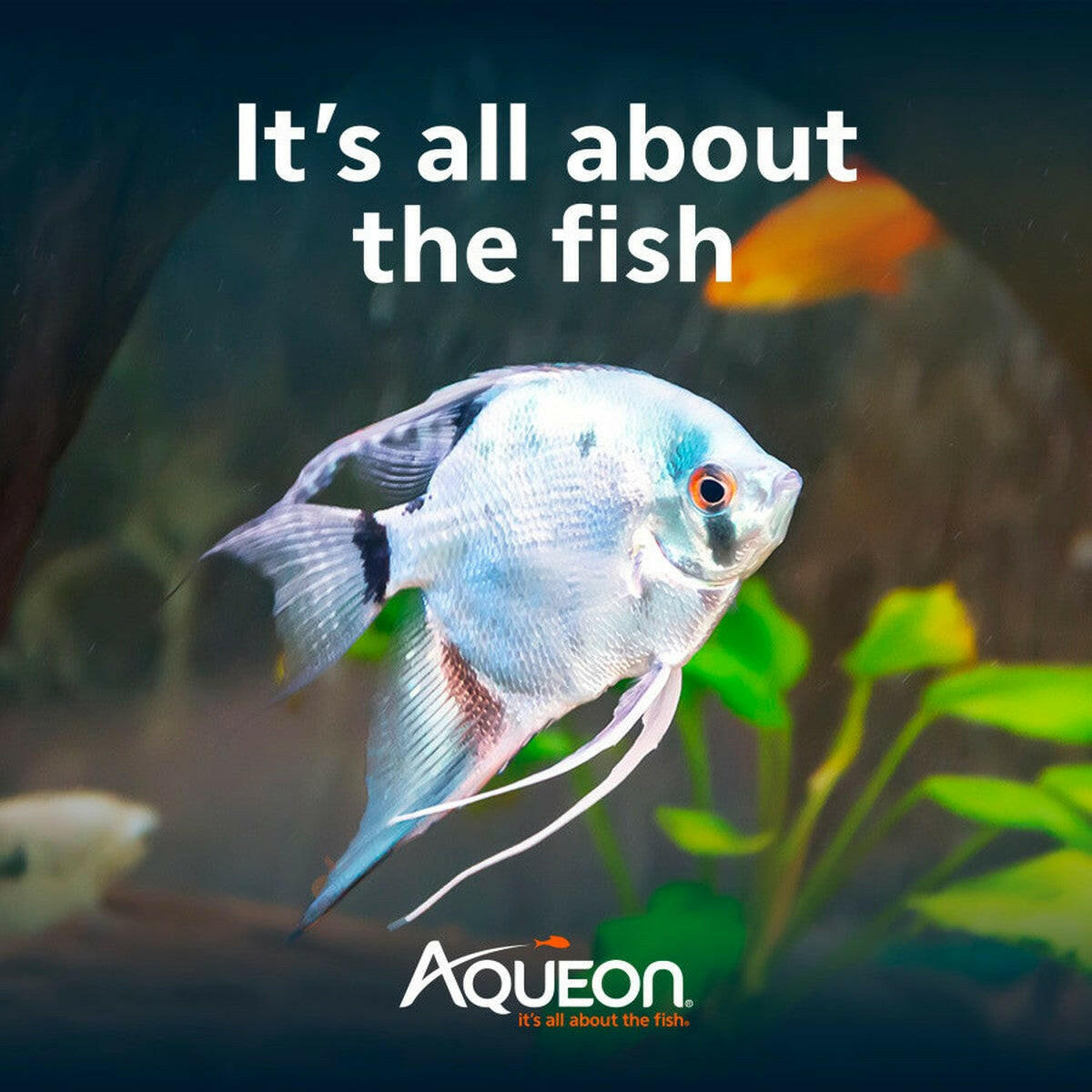 Aqueon Aquarium Essentials Kit.