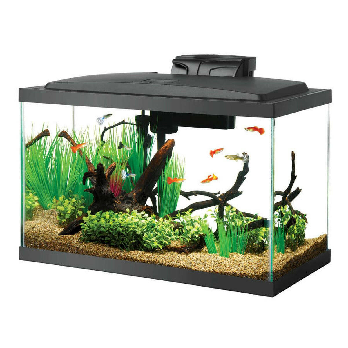 Aqueon Aquarium Starter Kit with LED Lighting 10G.
