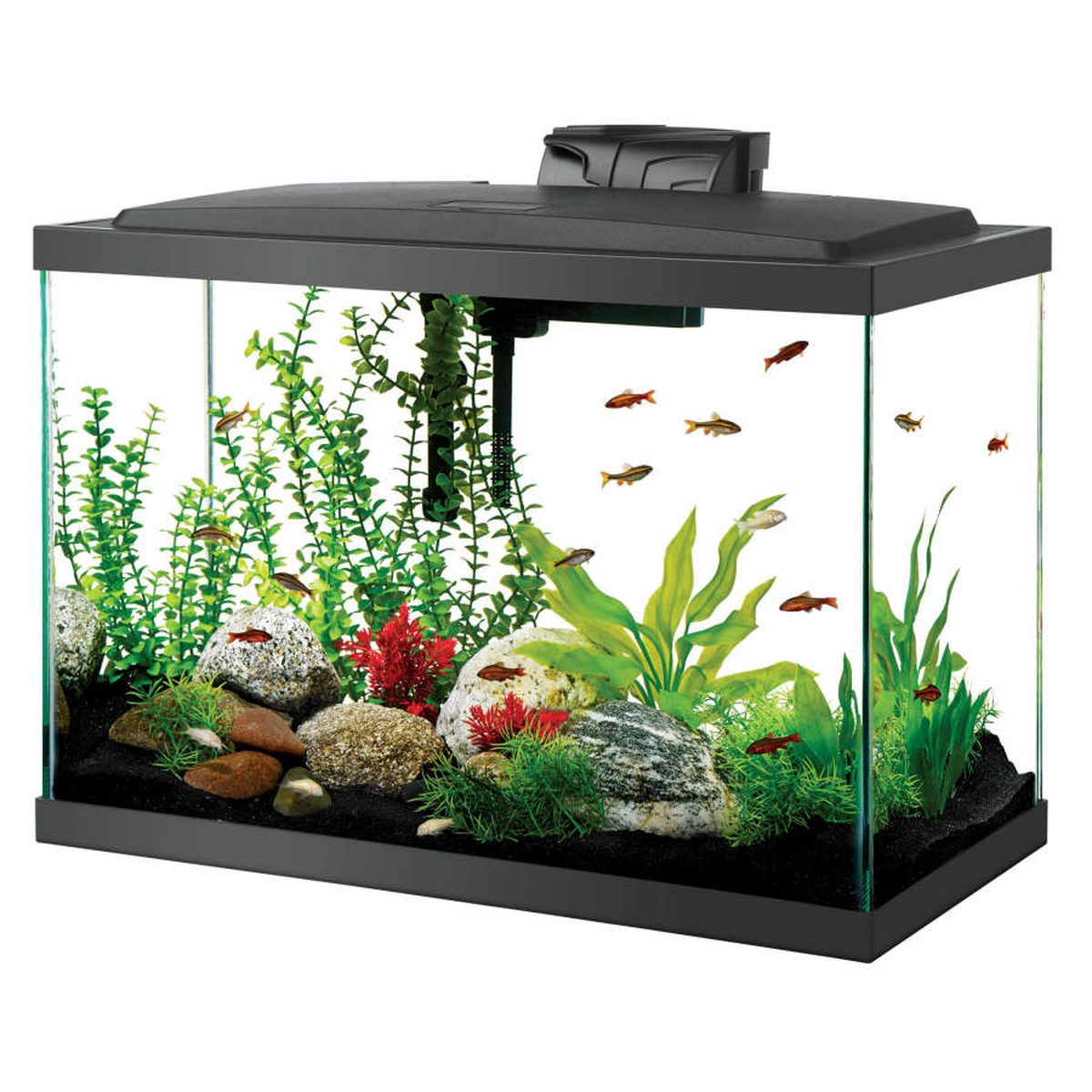 Aqueon Aquarium Starter Kit with LED Lighting 20G Aqueon