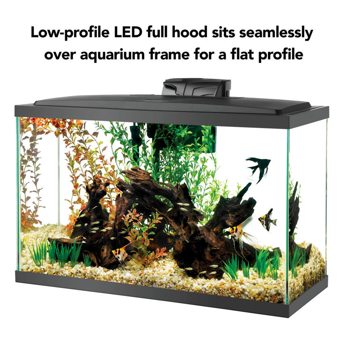 Aqueon Aquarium Starter Kit with LED Lighting 29G Aqueon