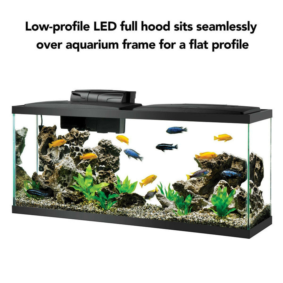 Aqueon Aquarium Starter Kit with LED Lighting 55G.