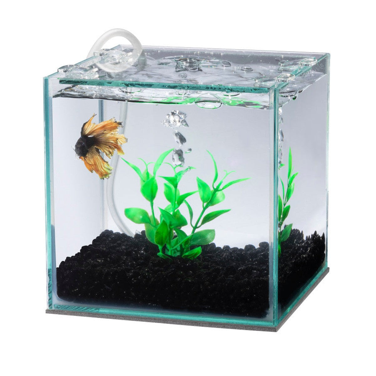 Aqueon Betta Filters Aqueon
