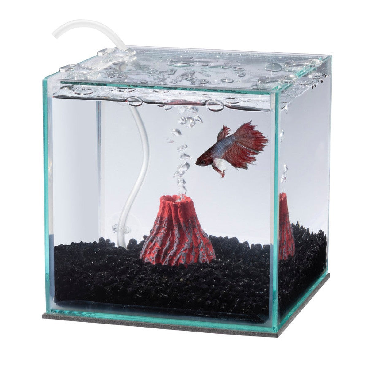 Aqueon Betta Filters Aqueon