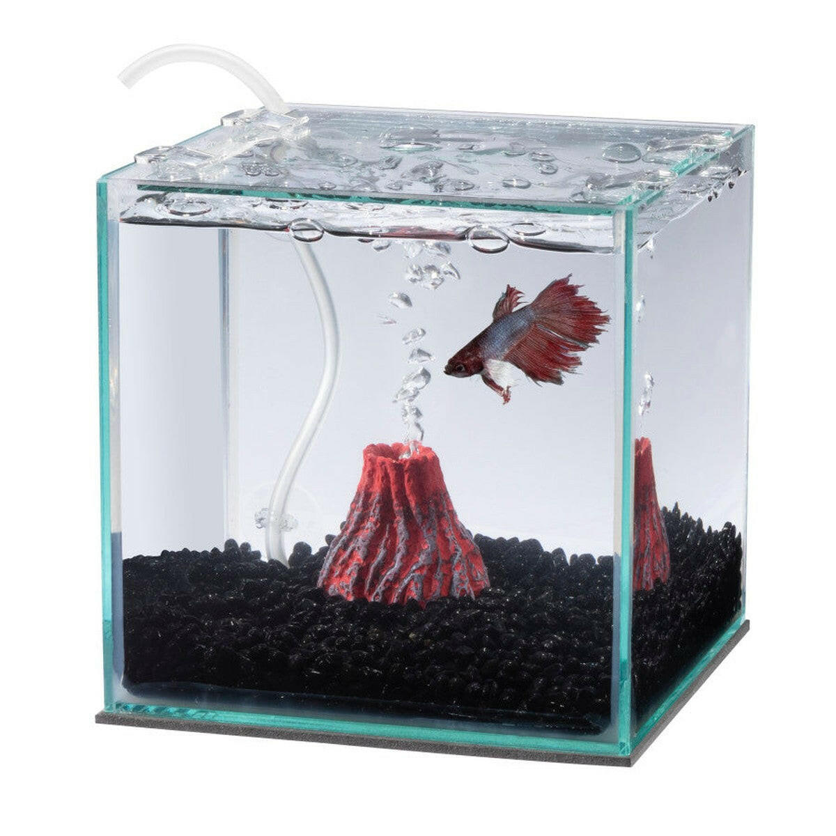 Aqueon Betta Filters.