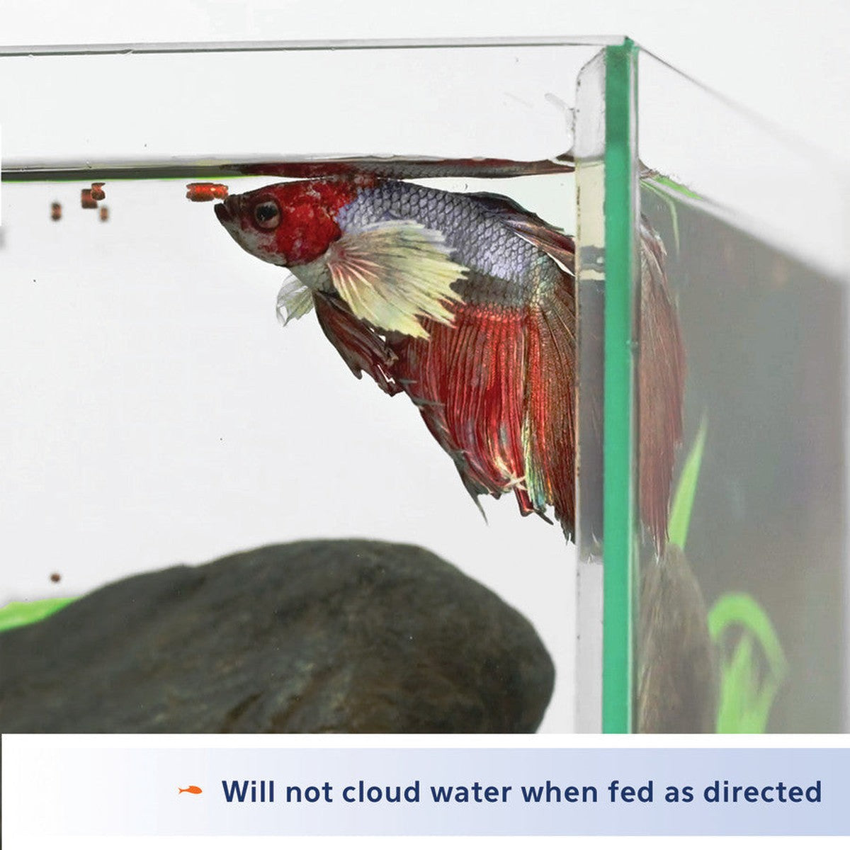 Aqueon Betta Food Color Enhancing Aqueon