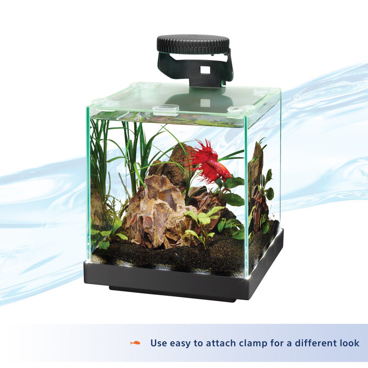 Aqueon Betta LED Light Aqueon