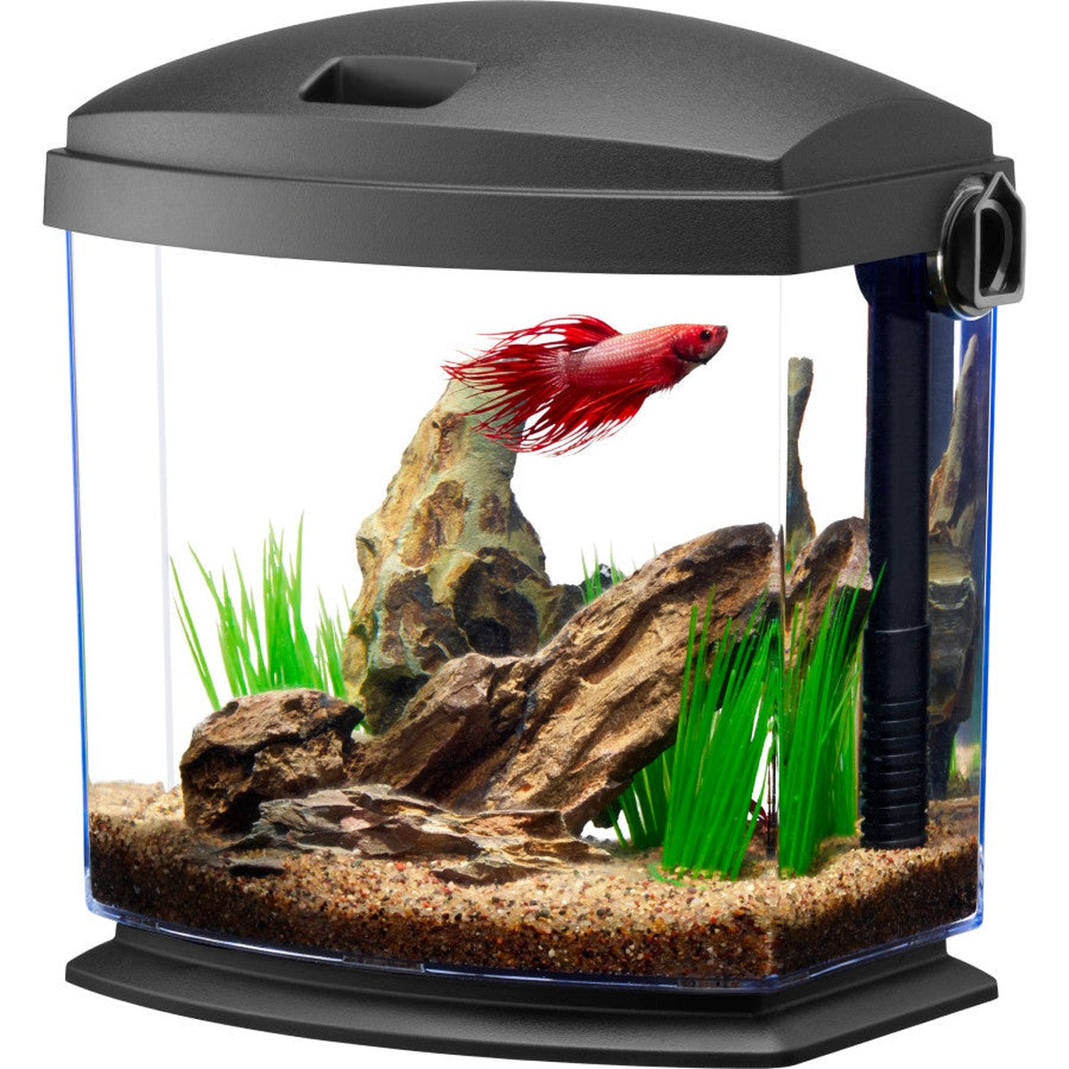 Aqueon BettaBow with Quick Clean Technology Aquarium Kit Aqueon