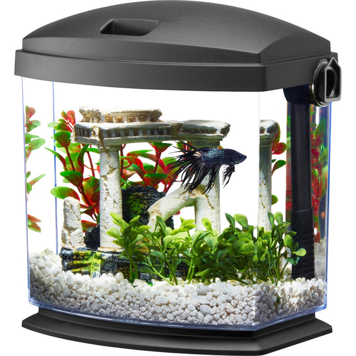Aqueon BettaBow with Quick Clean Technology Aquarium Kit Aqueon