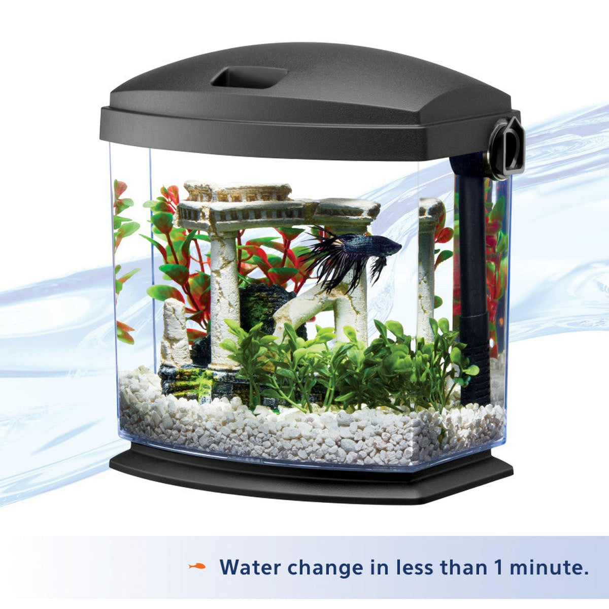 Aqueon BettaBow with Quick Clean Technology Aquarium Kit Aqueon