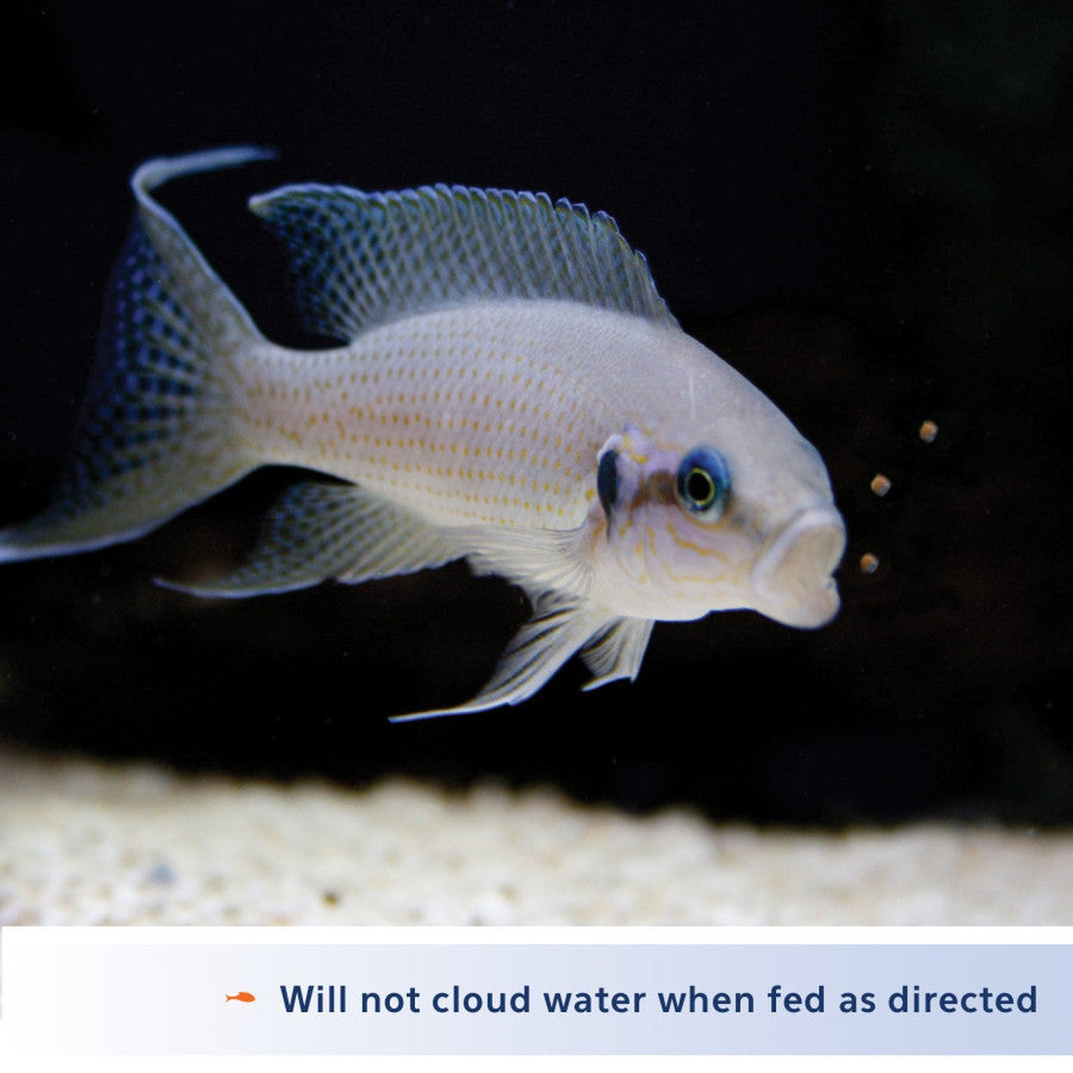 Aqueon Cichlid Food Color Enhancing Aqueon