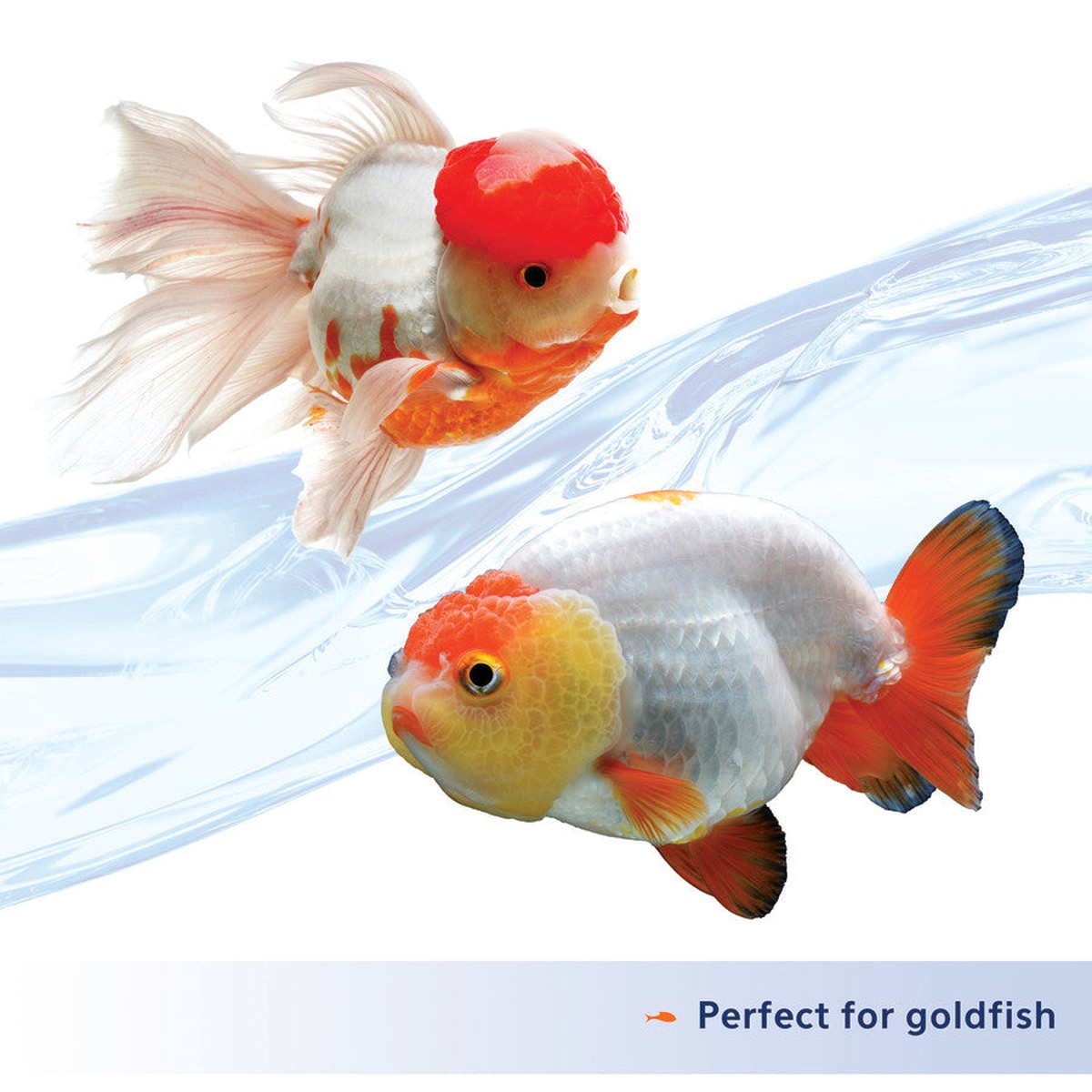 Aqueon Nutrinsect FishFree Fish Food Goldfish Pellets Aqueon
