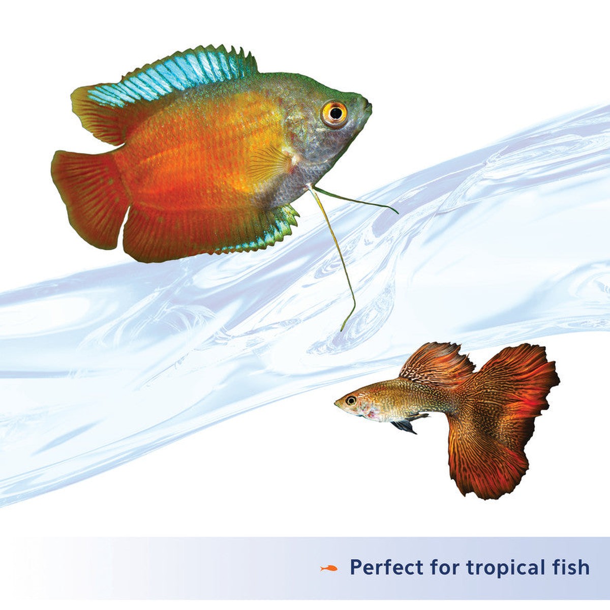 Aqueon Nutrinsect FishFree Fish Food Tropical Flakes Aqueon