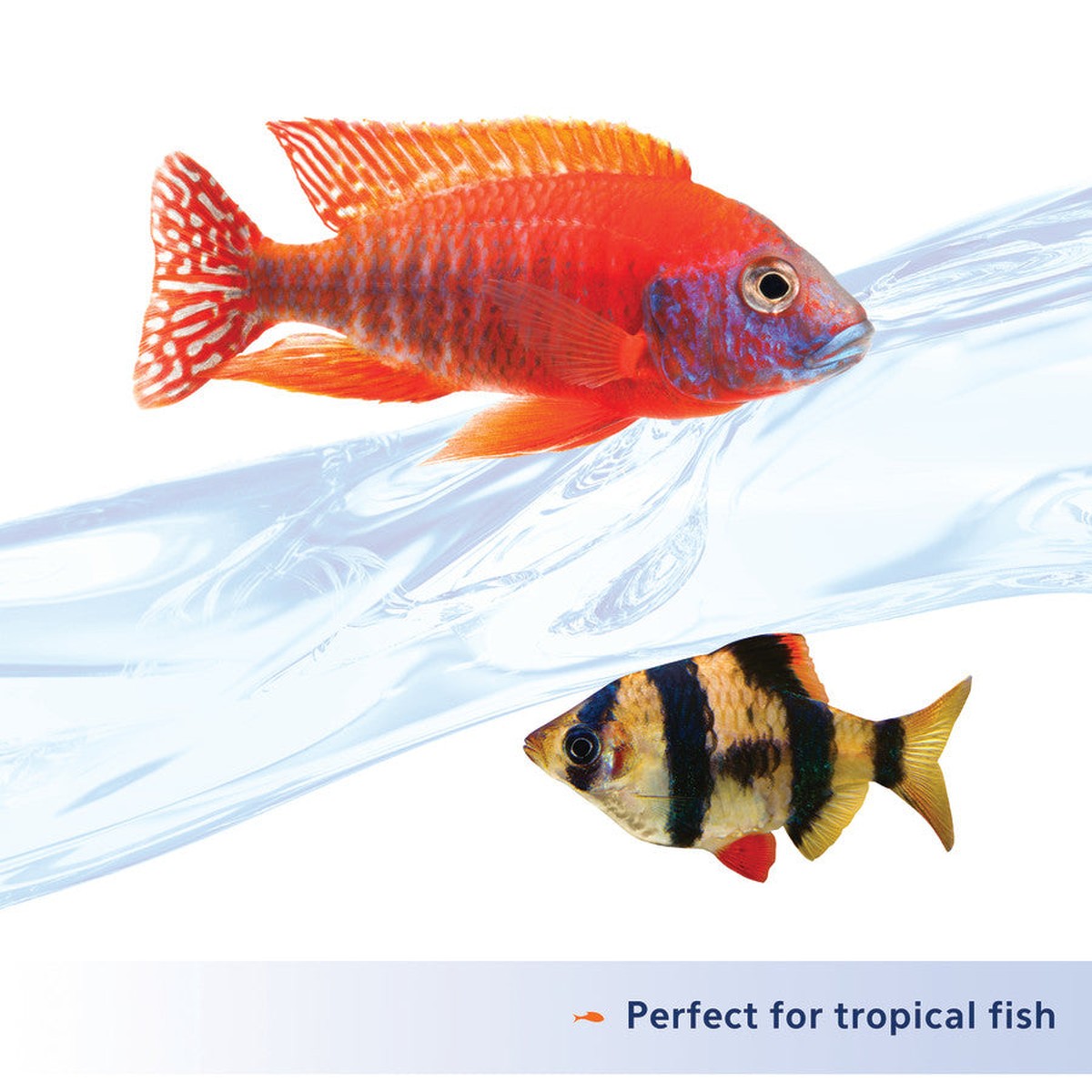 Aqueon Nutrinsect FishFree Fish Food Tropical Pellets Aqueon