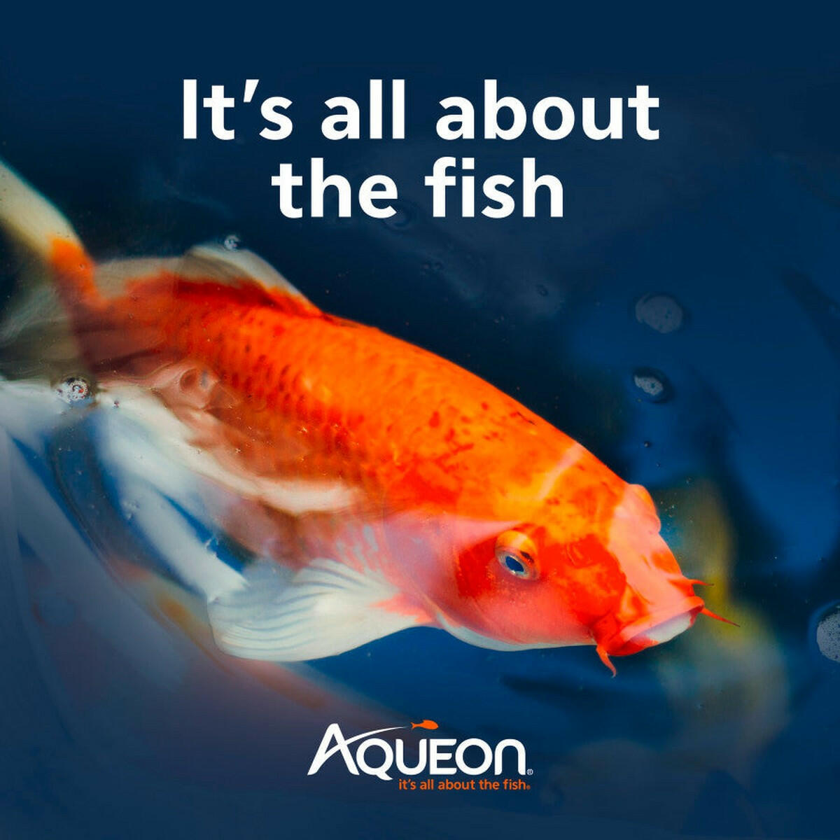 Aqueon PURE Sludge Bomb.