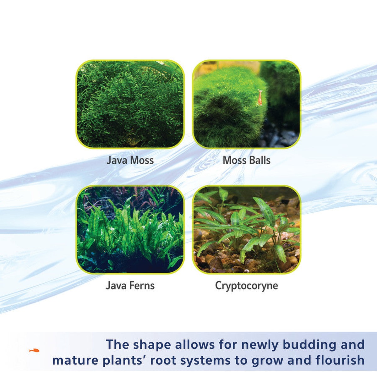 Aqueon Plant and Shrimp Aquarium Substrate Aqueon