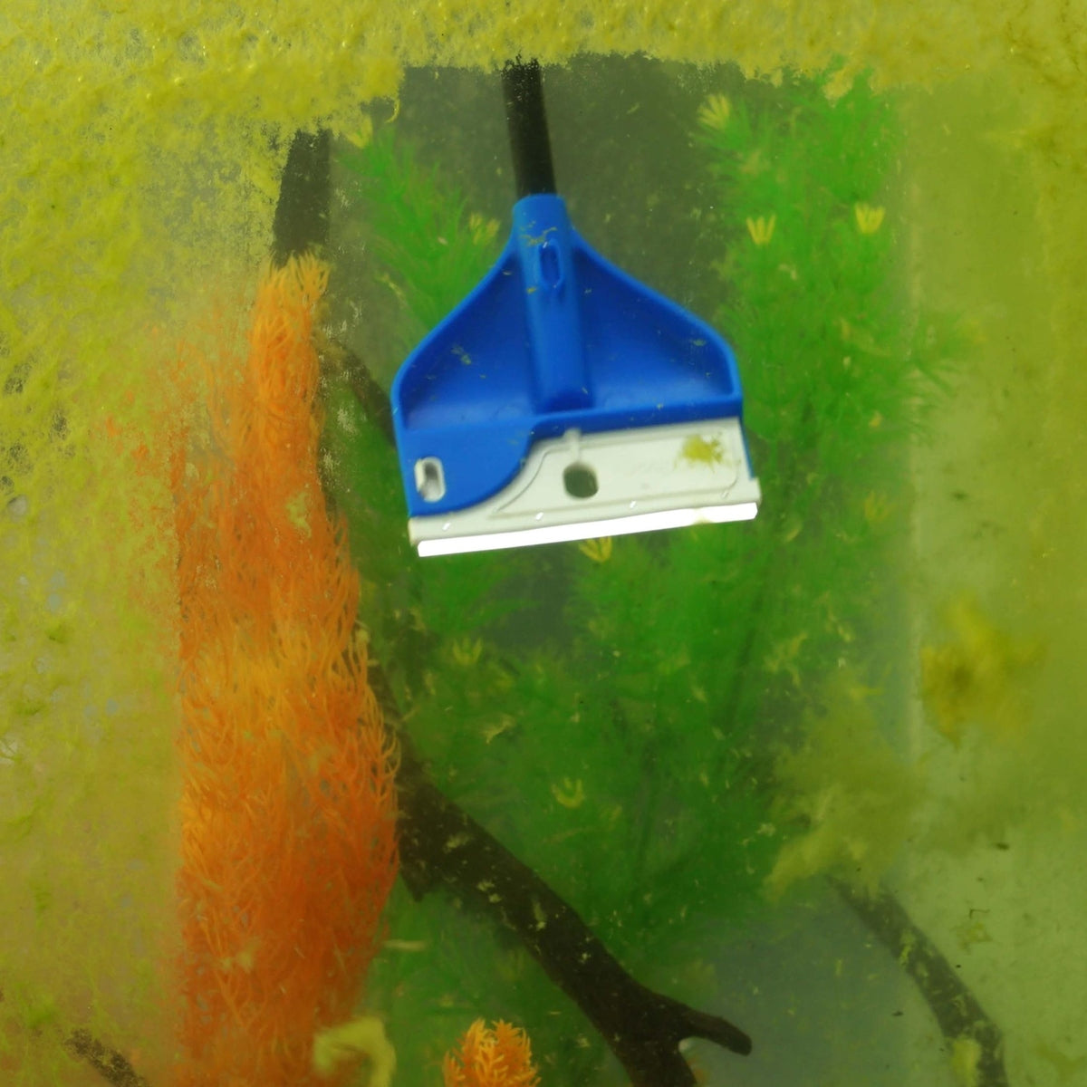 Aqueon ProScraper 3.0 Adjustable Algae Scraper Aqueon