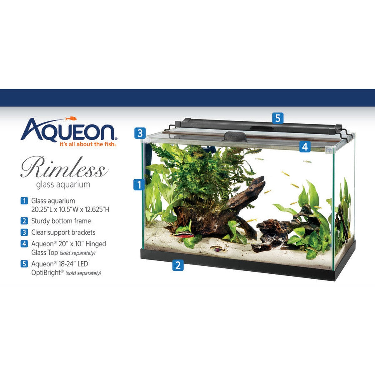 Aqueon Rimless Rectangle Aquarium Aqueon
