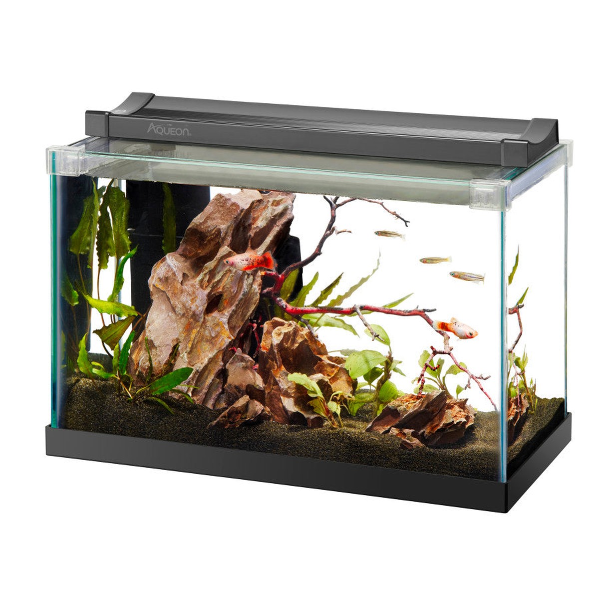 Aqueon Rimless Rectangle Aquarium Aqueon