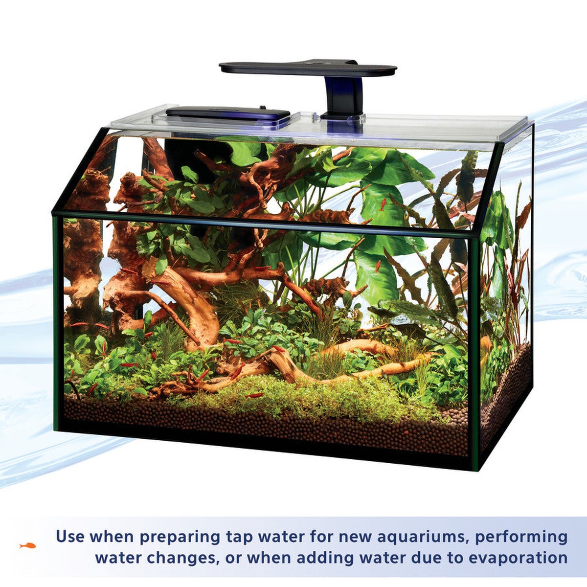 Aqueon Shrimp Tank Plus Aqueon