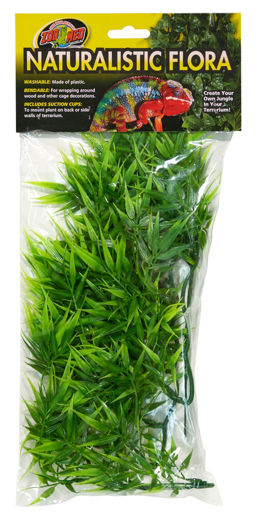 Zoo Med Natural Bush™ Plants – Madagascar Bamboo Zoo-Med