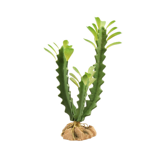 Zoo Med Desert Flora – Euphorbia Zoo-Med