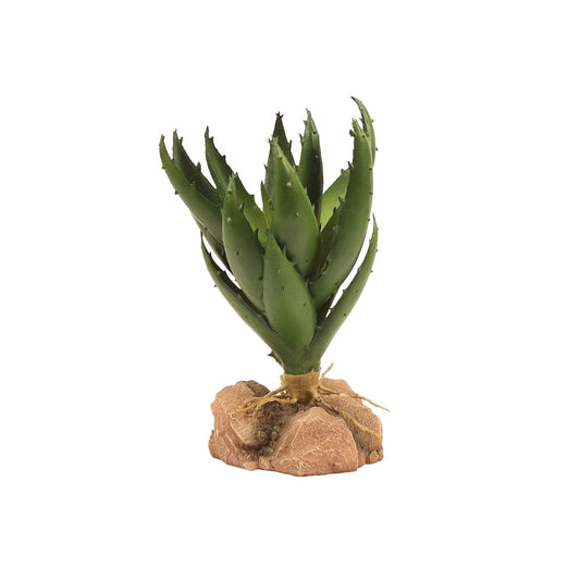 Zoo Med Desert Flora – Green Aloe Zoo-Med