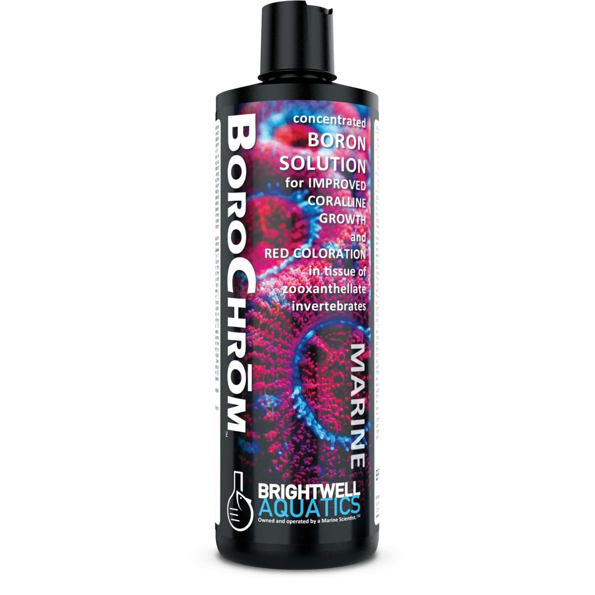BoroChrom – Concentrated Boron Supplement for Coralline & Coral Growth Brightwell Aquatics