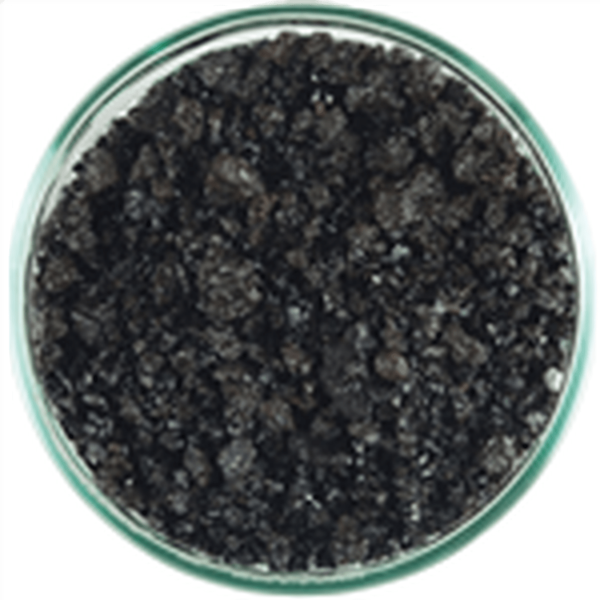 CaribSea Eco-Complete Planted Aquarium Black 10 lbs Caribsea